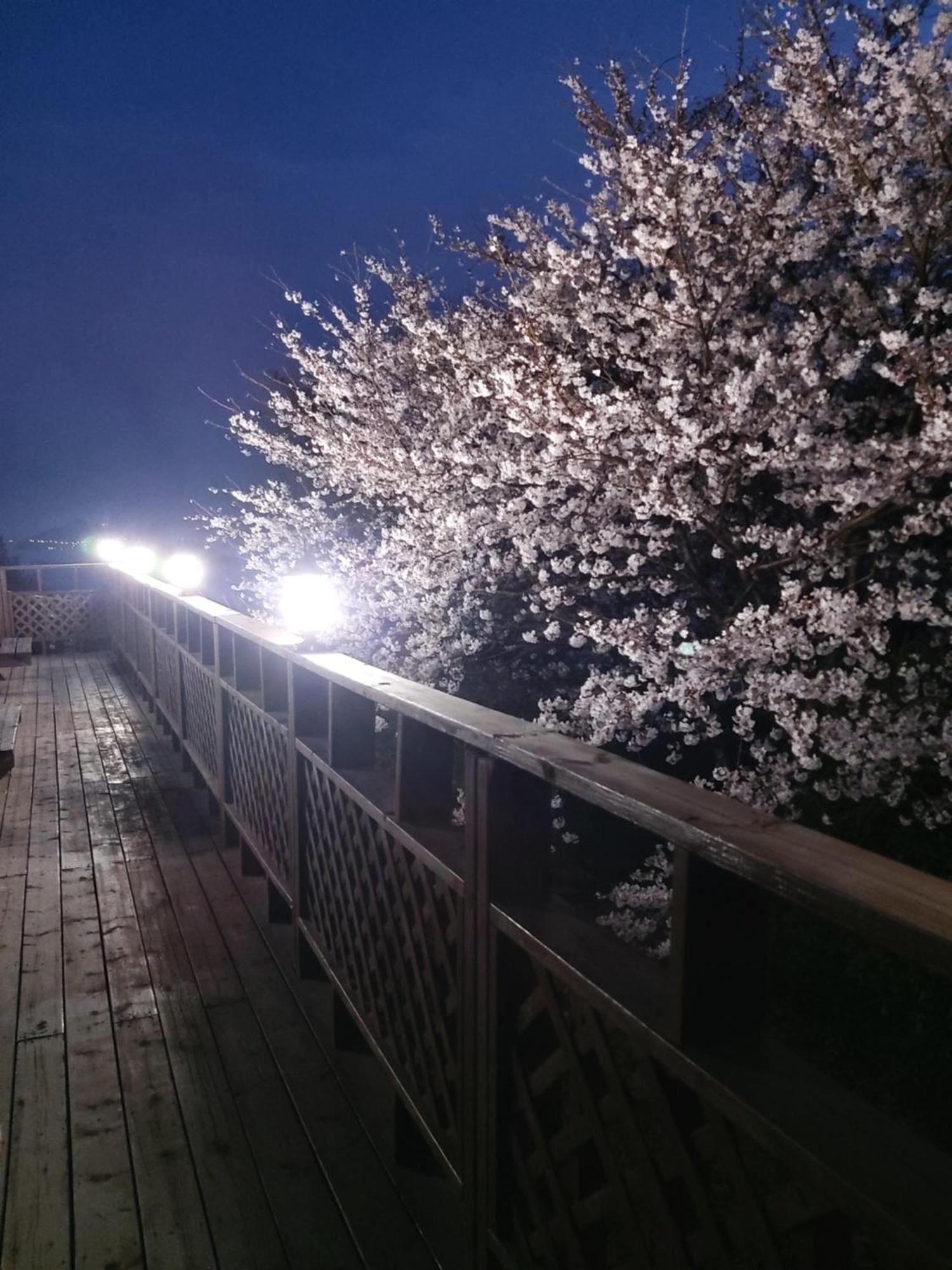 White House Hotell Namhae Eksteriør bilde