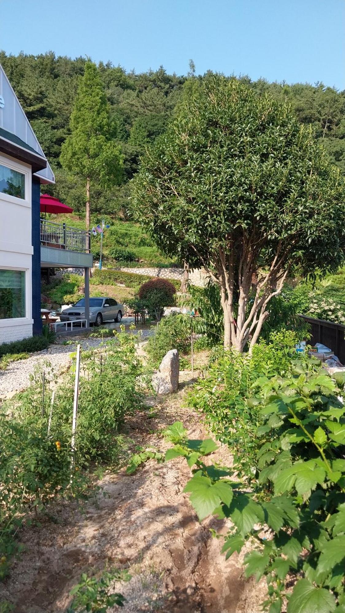 White House Hotell Namhae Eksteriør bilde