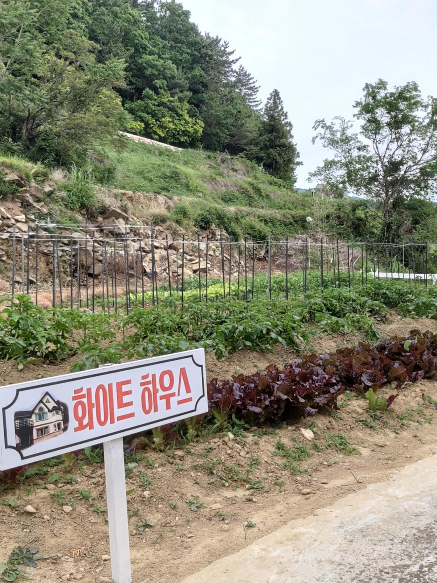 White House Hotell Namhae Eksteriør bilde