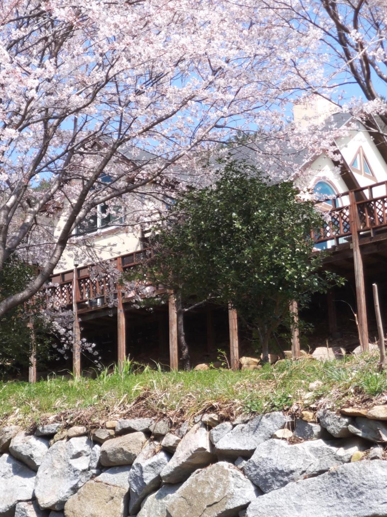White House Hotell Namhae Eksteriør bilde